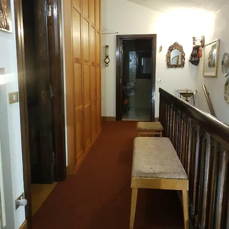 Gina Lodge